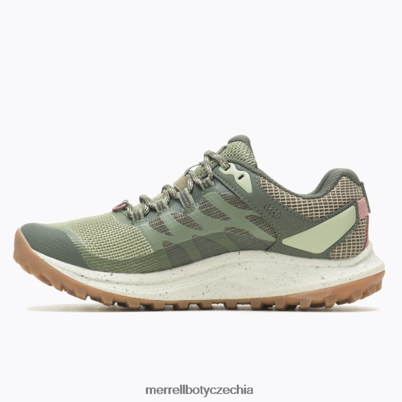 Merrell antora 3 gore-tex (j067568) obuv J064V2821 lišejník ženy